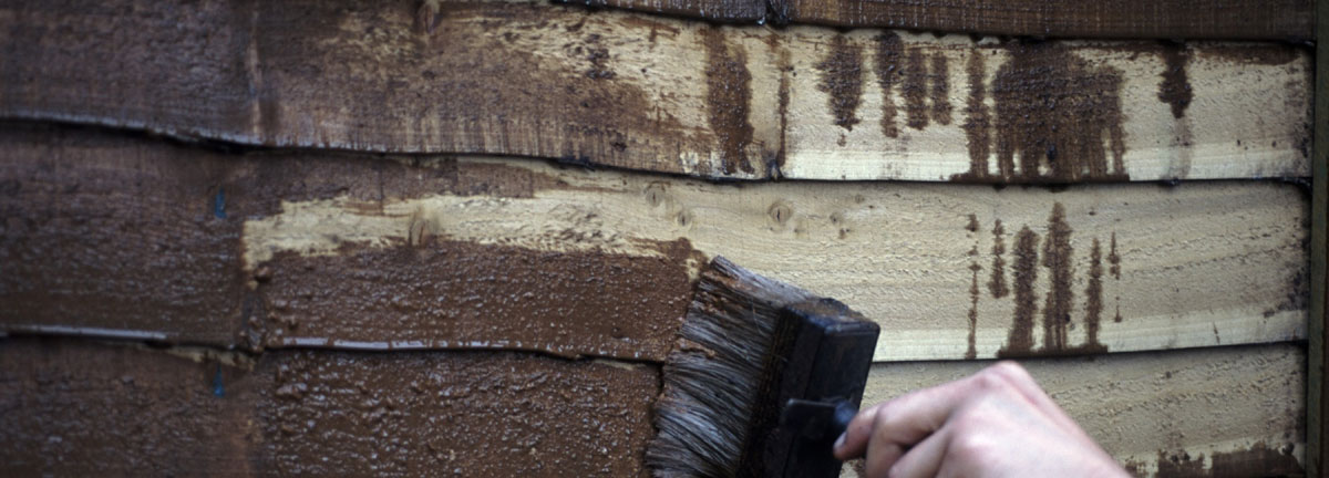 painting timber